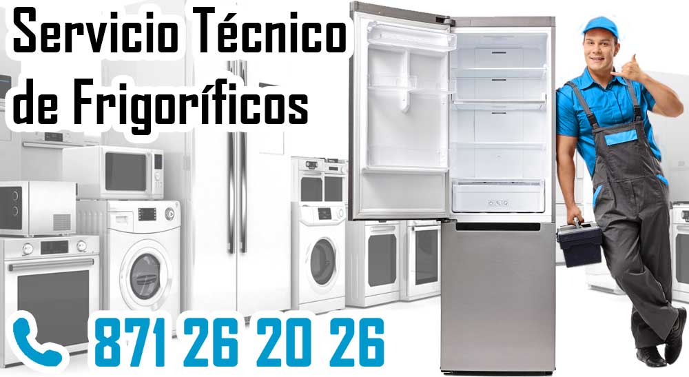 Servicio Técnico de Frigoríficos